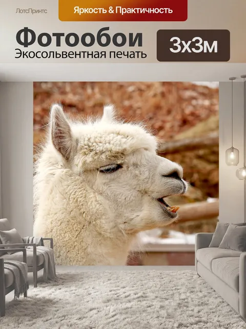 Фотообои Альпака пение
