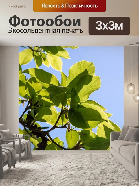 Фотообои Листья