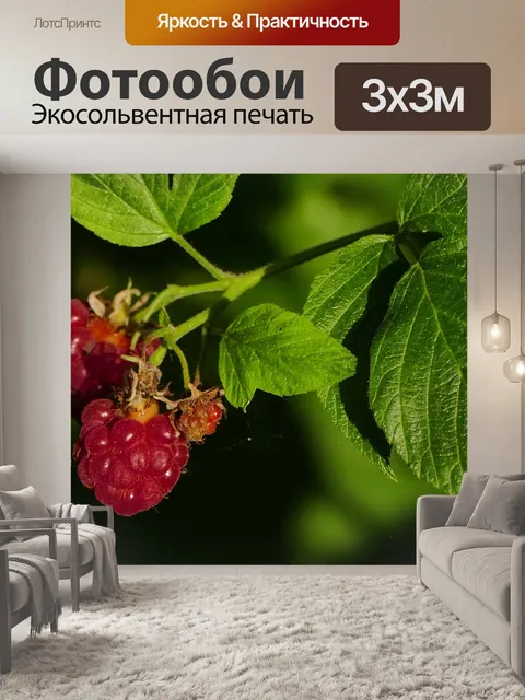 Фотообои Природа