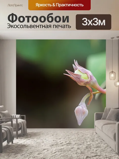 Фотообои Цветок
