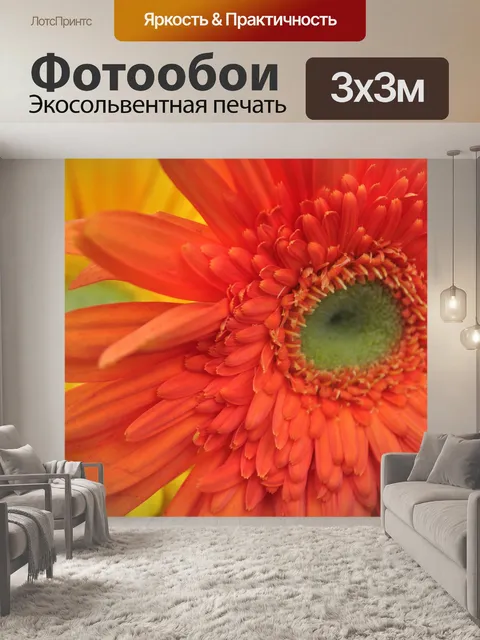 Фотообои Гербера ромашка 04