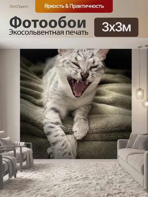 Фотообои Смеющийся кот