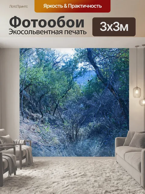Фотообои деревья и растительность на склоне холма