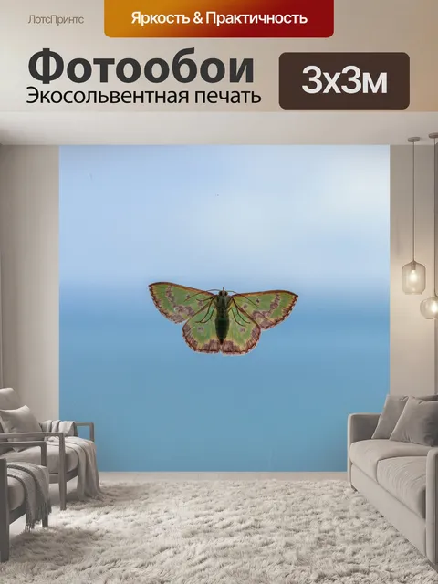 Фотообои Дикая природа