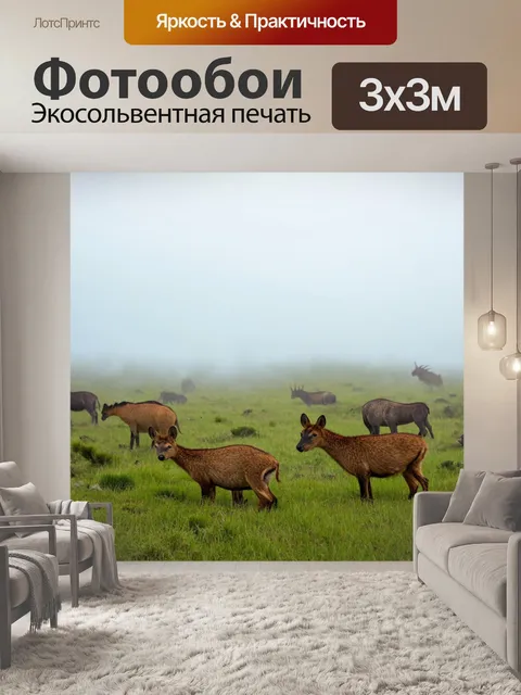 Фотообои туман в стиле плоский, дикая природа с рельефом и туманом, животные в их естественной среде