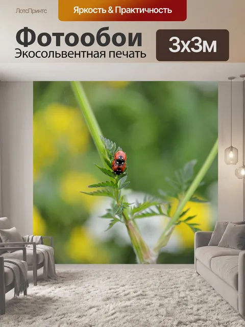 Фотообои Божья коровка