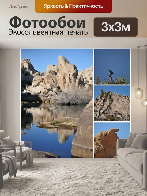 Фотообои Национальный памятник Джошуа Три