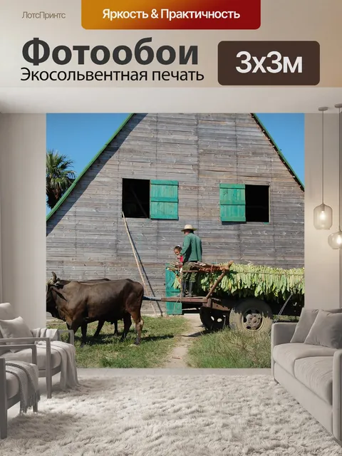 Фотообои Куба