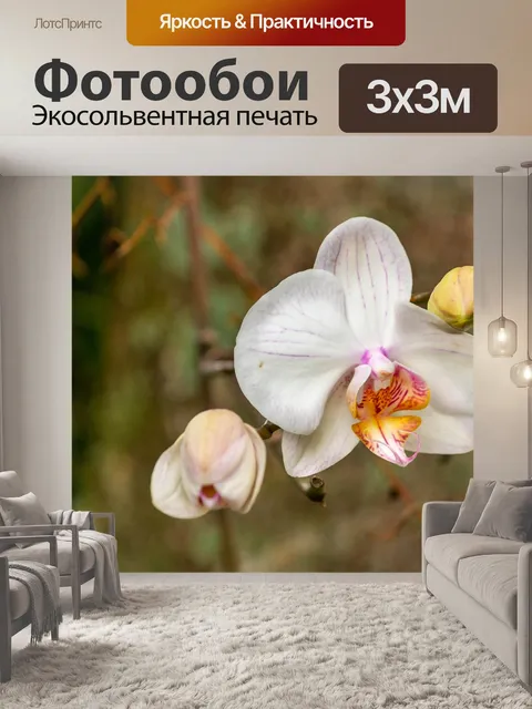 Фотообои Цветок