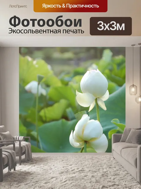 Фотообои Лотос
