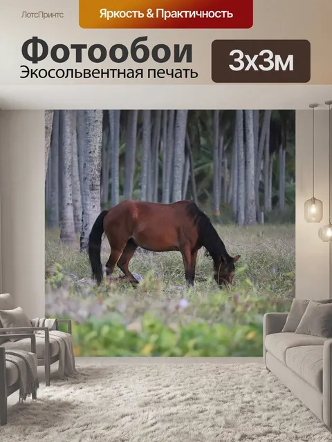 Фотообои Лошадь