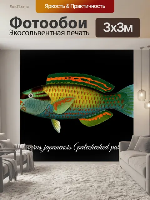 Фотообои Рыба Parrotfish Vintage Art