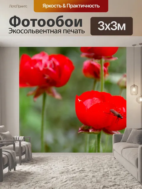 Фотообои Красные маки с насекомыми