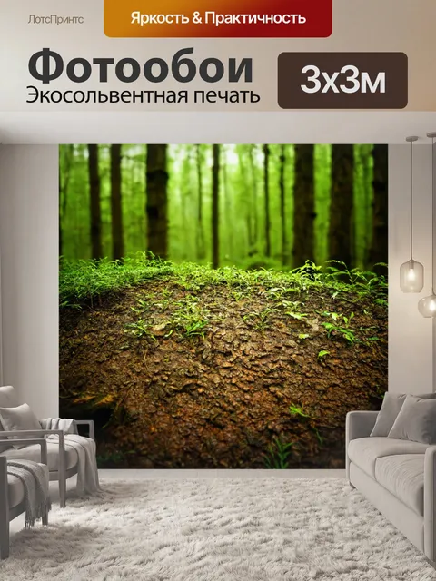 Фотообои временной капсула, древние семена, следы времени, естественная красота