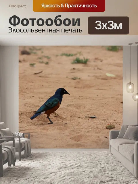 Фотообои Птица
