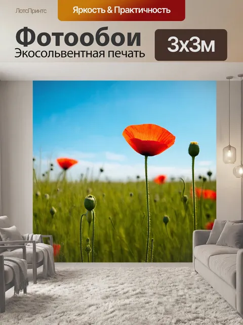 Фотообои мак, расцветающий на ярком утреннем солнце, окружённый зелёными полями и синим небом