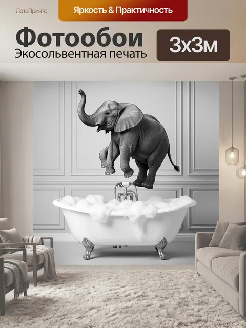 300 × 300 см · Экосольвентная печать