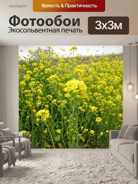 Фотообои Цветок