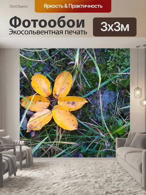 Фотообои Листья