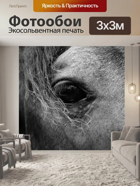 Фотообои Лошадь