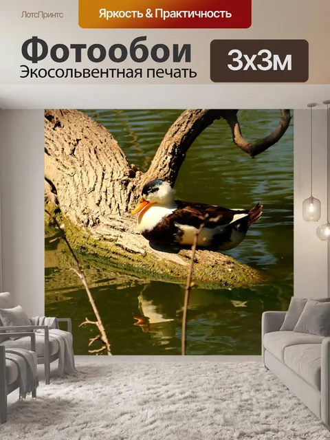 Фотообои Россия