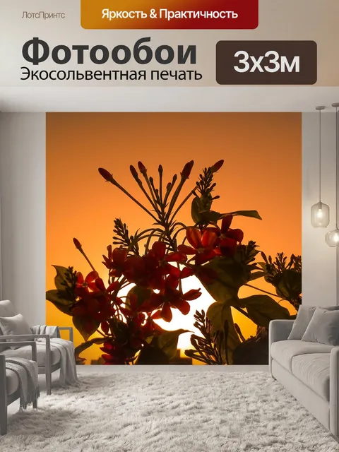 Фотообои Заход солнца