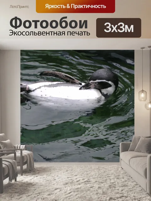 Фотообои Пингвин чистили Сама