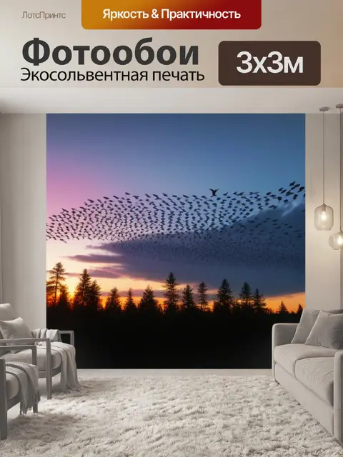Фотообои птицы, улетающие в закат над лесом