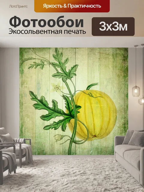 Фотообои Винтажное Искусство Тыква Холст
