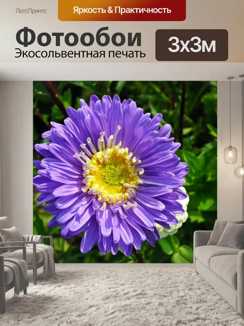 Фотообои Цветок