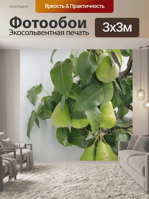 Фотообои Грин