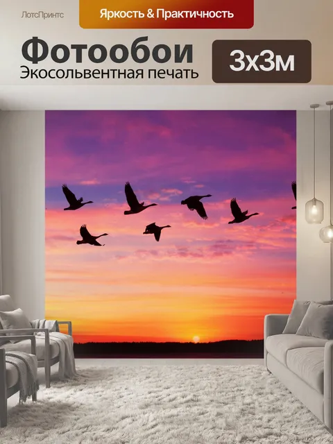 Фотообои Птицы летят на закате