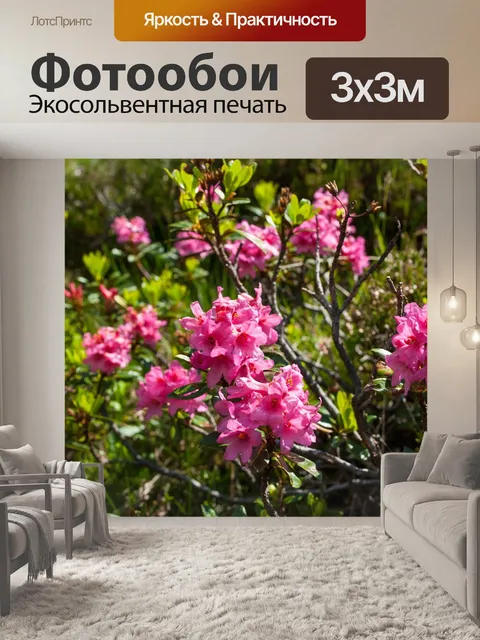 Фотообои Альпийская роза