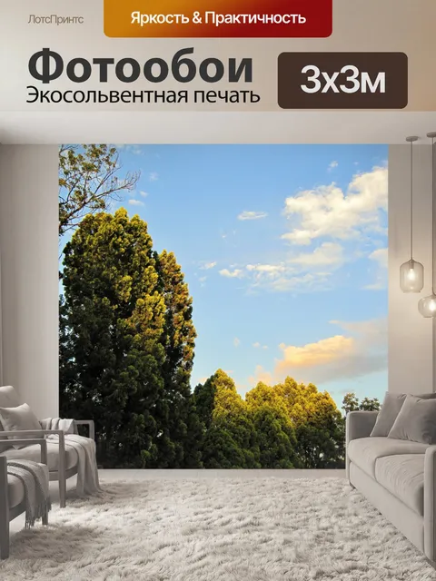 Фотообои Хвойные купались в солнце