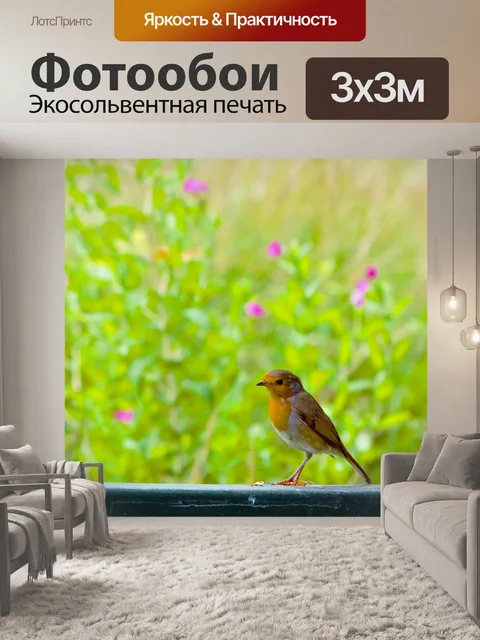 Фотообои Робин птица