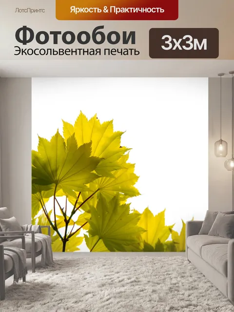 Фотообои Зеленые листья