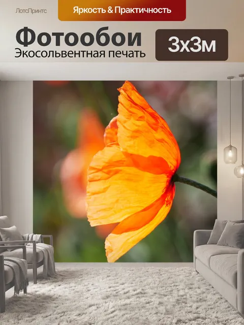 Фотообои Мак