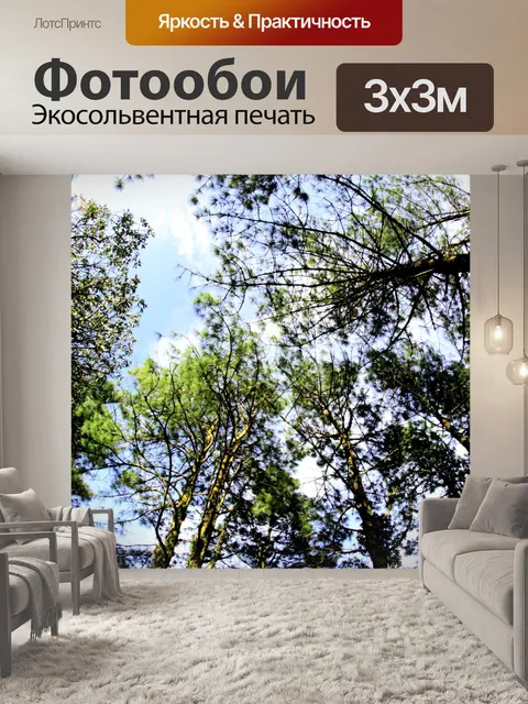 Фотообои Природа соснового леса в Фу Руа