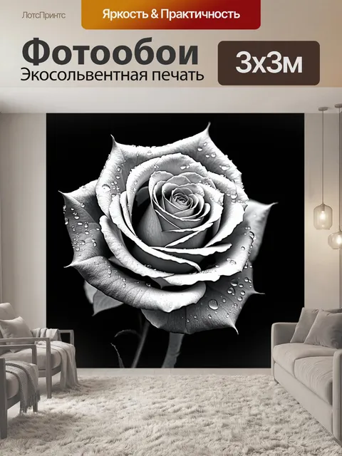 Фотообои розы в стиле черно-белый, с изображением застывших капель росы на лепестках, подчеркивающими их хрупкость