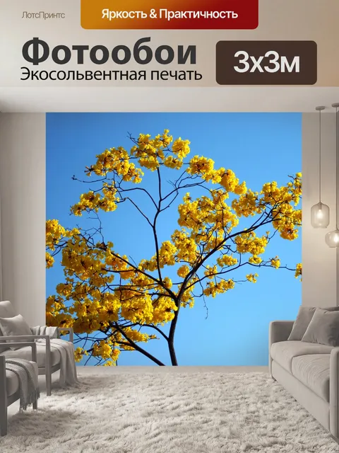 Фотообои желтые Tabebuia цветы против неба