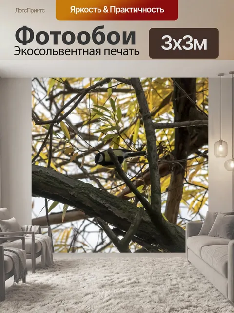 Фотообои Птица
