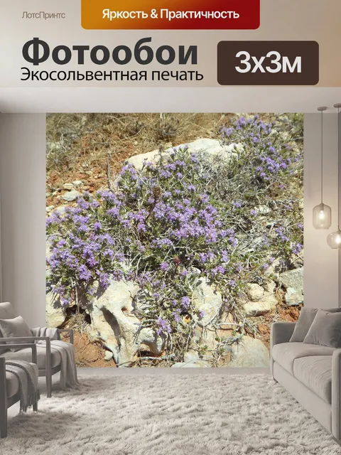 Фотообои Дикий