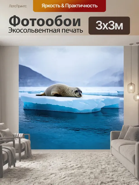 Фотообои тюлень, свернувшись калачиком на ледяной глыбе, создает впечатление тепла в холодном море