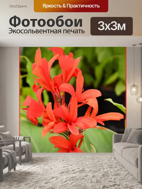 Фотообои Голландские цветы в садах 64