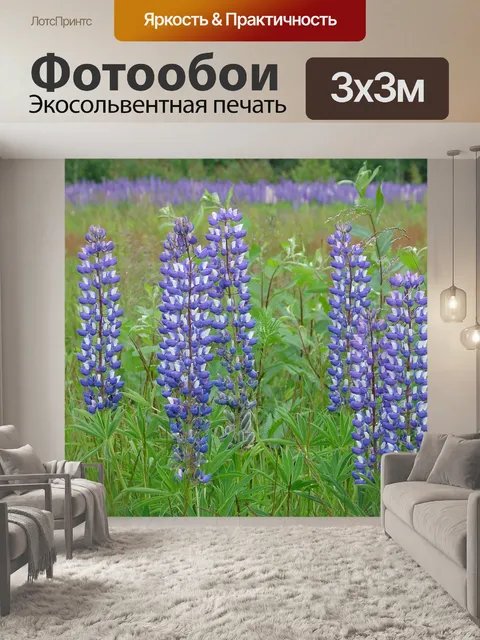 Фотообои Люпин