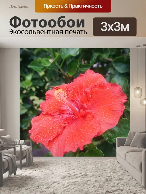 Фотообои Роза
