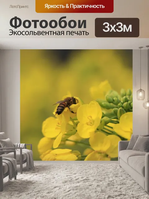 Фотообои Простота