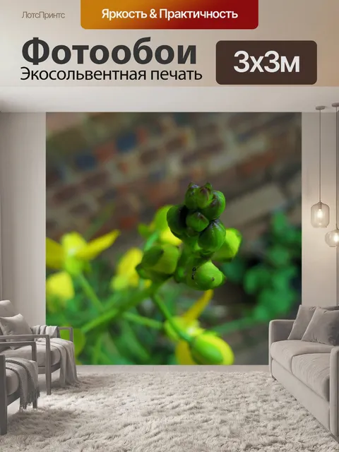 Фотообои бутоны желтая орхидея