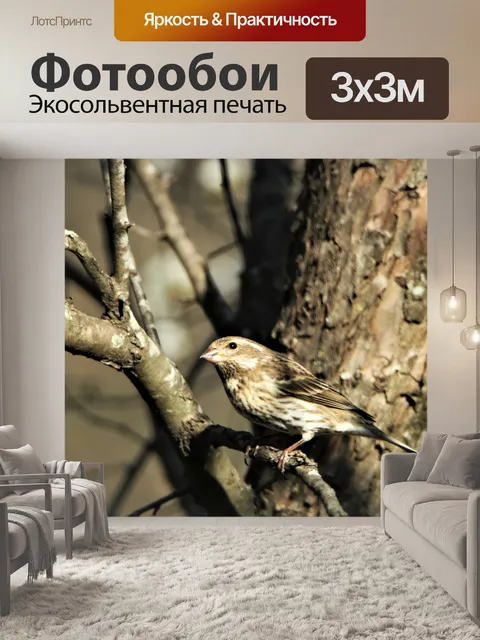 Фотообои Женский Фиолетовый дом Финч в дереве