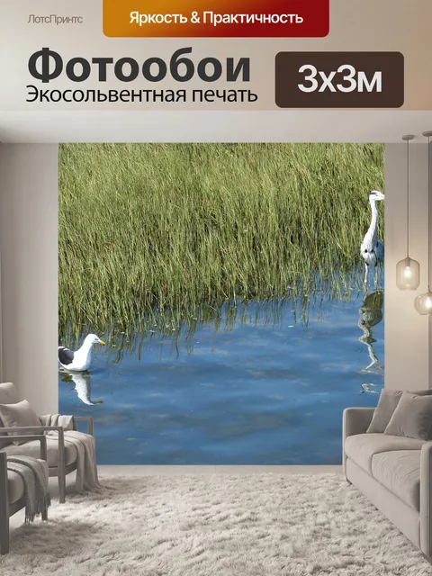 Фотообои Южная африка